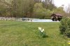MVIMG_20200427_154100